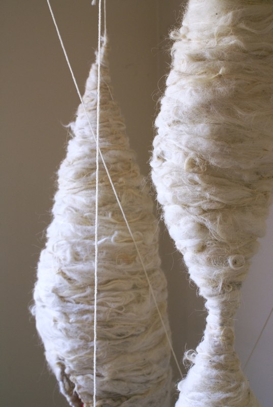 wool 2009