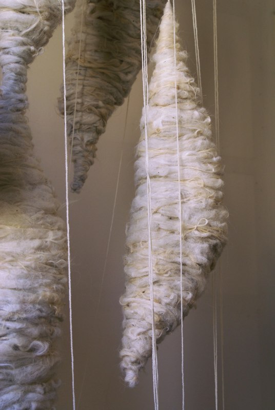 wool 2009